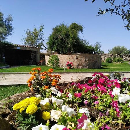 El Lagar Del Abuelo En Los Arribes Del Duero, Badilla, 萨莫拉 外观 照片