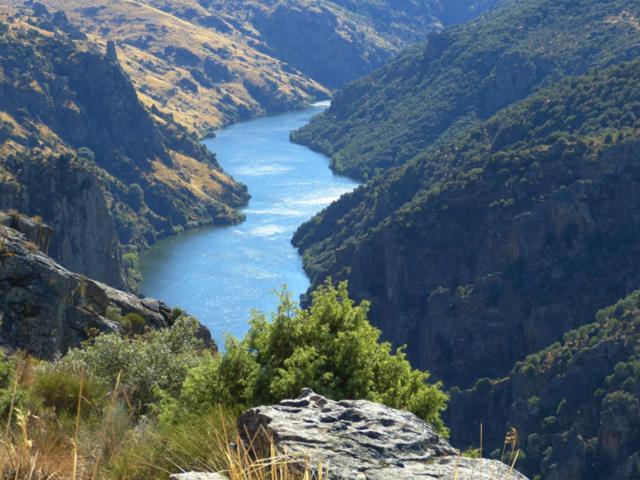 El Lagar Del Abuelo En Los Arribes Del Duero, Badilla, 萨莫拉 外观 照片